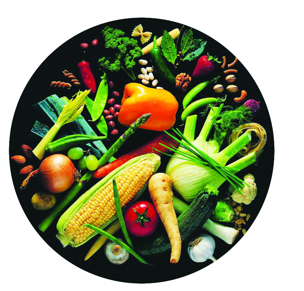 瘦身食谱营养师 11_110625100915_1.jpg